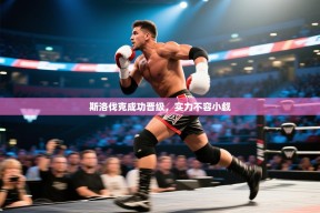 斯洛伐克成功晋级，实力不容小觑