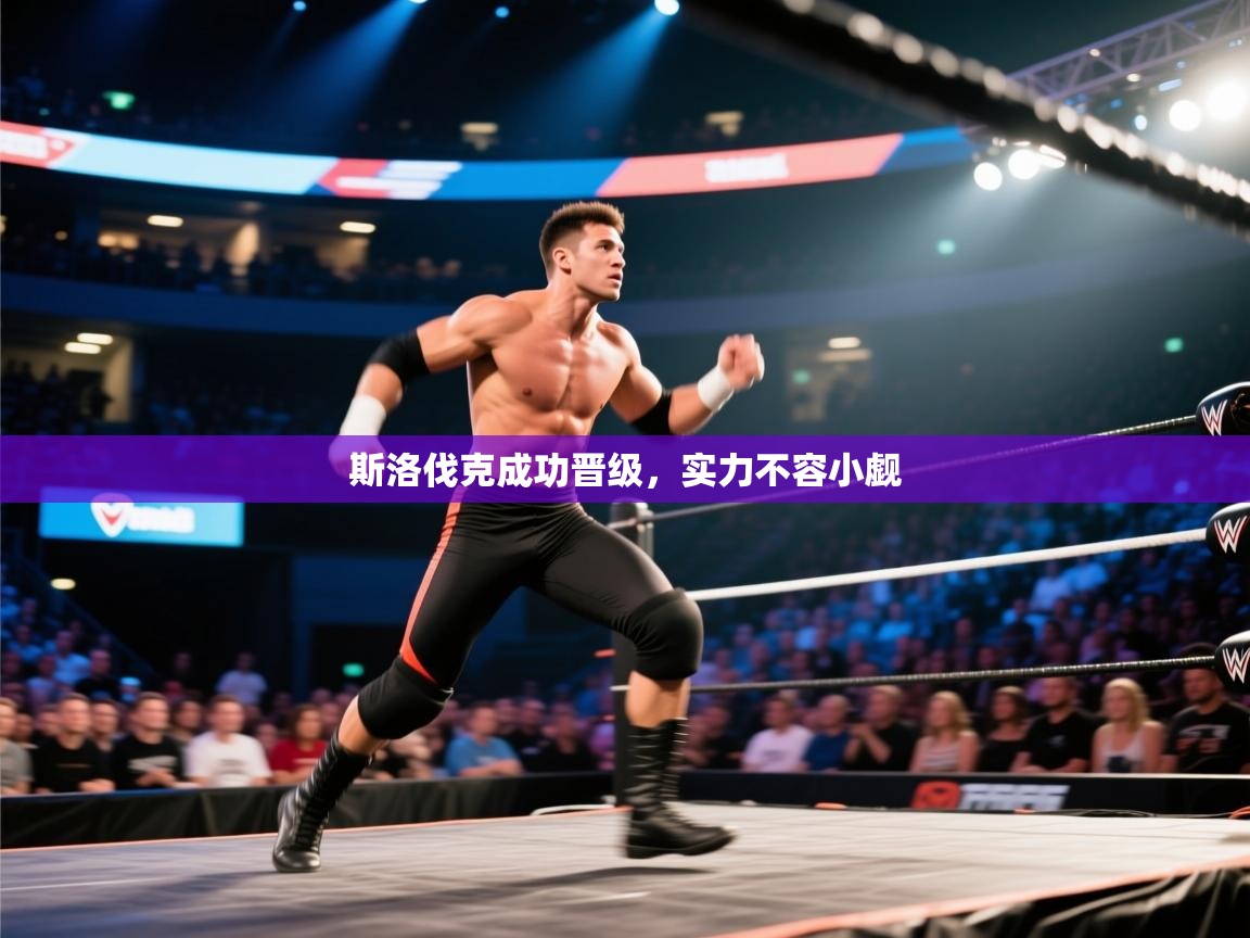 斯洛伐克成功晋级,实力不容小觑 第2张